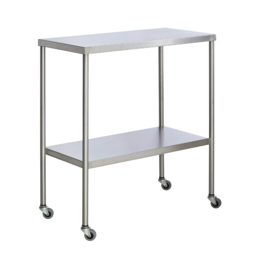 48in Stainless Steel Instrument Table w/ Bottom Shelf