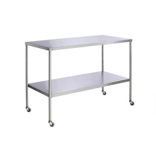 48in Stainless Steel Instrument Table