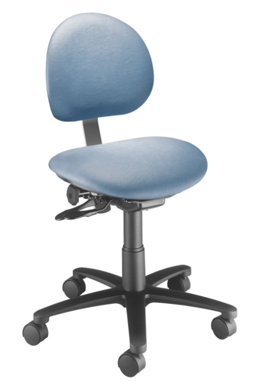 Ergonomic Task Chair with Back