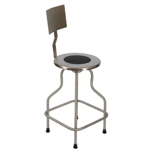 Stainless Steel Stool w/ Backrest