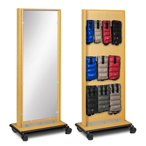 Mobile Mirror & Weight Rack