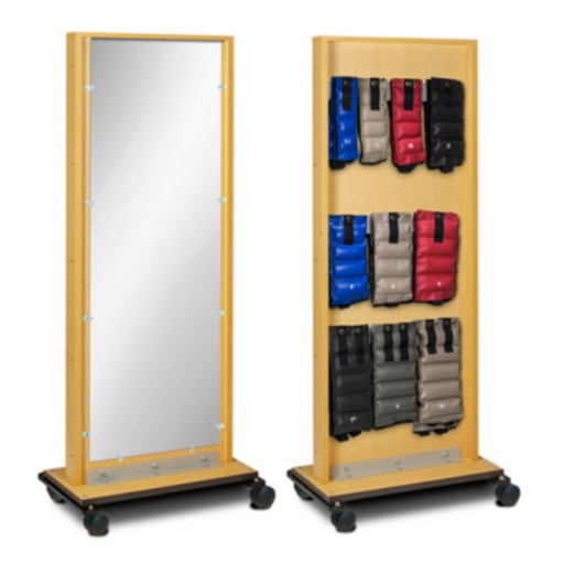 Mobile Mirror & Weight Rack