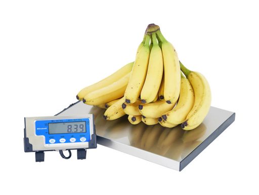 Dietary Scale w/ Remote Display - Image 3