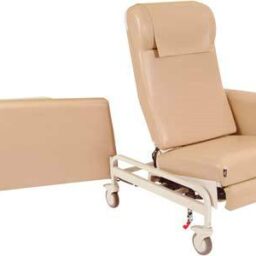 Dual Swing-Arm Elite Care Cliner