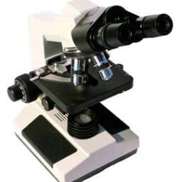 Microscope