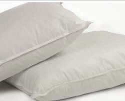 Standard Size Pillows 20in x 26in