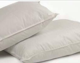 Standard Size Pillows 20in x 26in