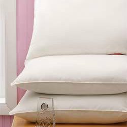 Velvet Soft Washable Pillows