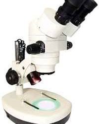 Zoom Stereoscope
