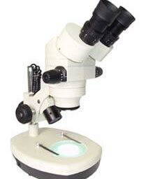 Zoom Trinocular Stereoscope