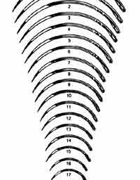 Half Circle Surgeons Needles