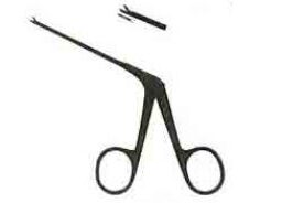 Ear Scissors