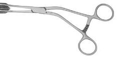 Tongue Forceps